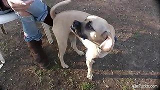 3213 solo porn videos